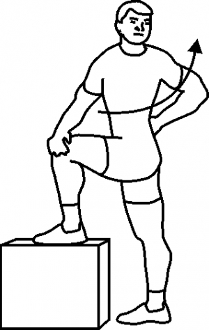 Flexion Rotation du Buste